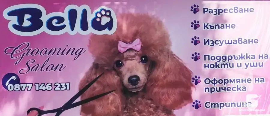 Grooming studio, pet grooming - dogs and cats