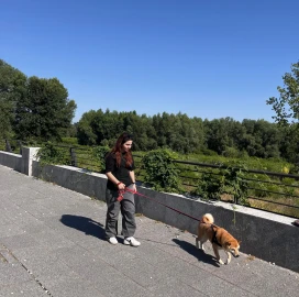 Разходки на кучета