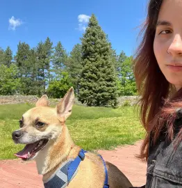 Dog walking