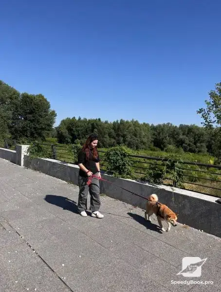 Разходки на кучета