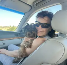 Pet Sitting (Animal Hotel)