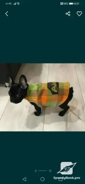 Bespoke clothing for dogs