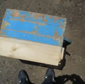 За Вашия пчелин