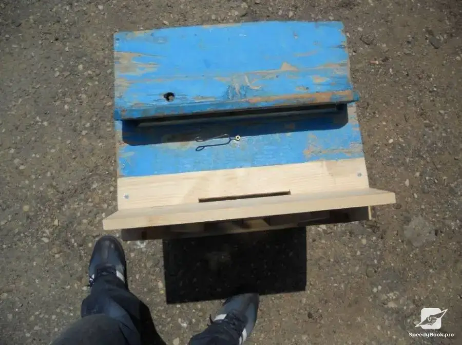 За Вашия пчелин