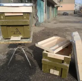 За Вашия пчелин