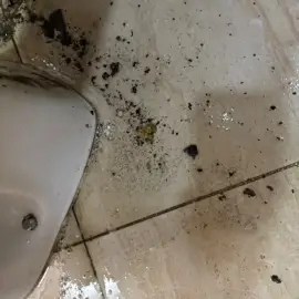 Почистване на домове