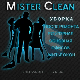 Firm for cleaning Mister Clean