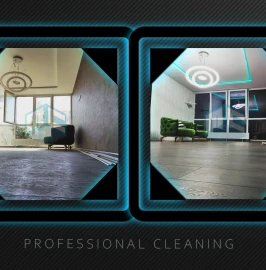 Firm for cleaning Mister Clean