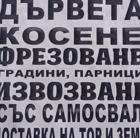 Профессиональный уход за газоном и садом