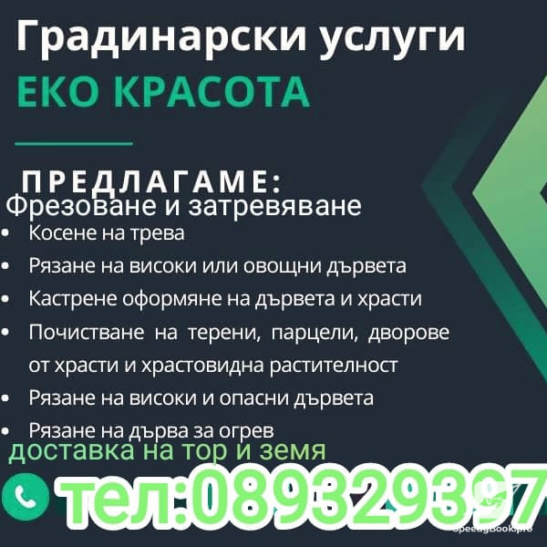 Професионална грижа за тревата и градината