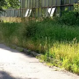 Почистване на апартаменти и тавански помещения мазета и дворове