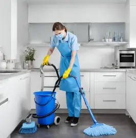 Professional cleaning of homes and offices