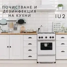 Professional cleaning of homes and offices