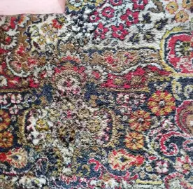 Professional cleaning of homes and offices