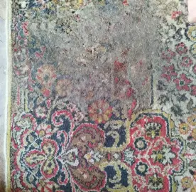 Professional cleaning of homes and offices