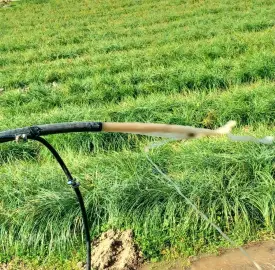 Airlift cleaning of old and new boreholes