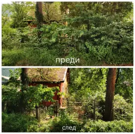Cleaning of yards