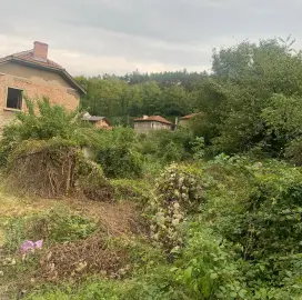 Почистване на мазета, складове,дворове и обрасли терени