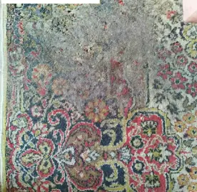 Washing carpets, sofa mattresses