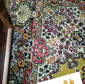 Washing carpets, sofa mattresses