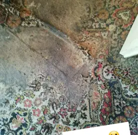 Washing carpets, sofa mattresses
