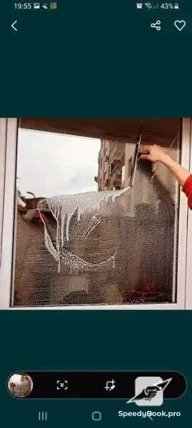 Professional cleaning of windows and shop windows