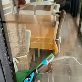 Professional cleaning of windows and shop windows
