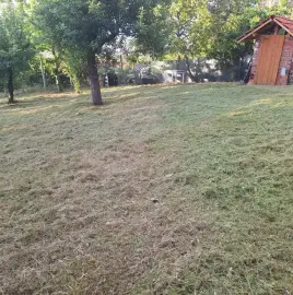 Grass cutting and wood cutting for Kyustendil