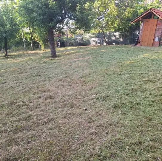 Стрижка травы и колка дров для Кюстендила