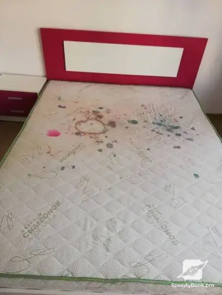 Washing sofas, mattresses and upholstered furniture