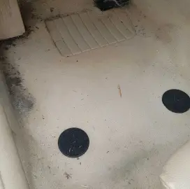 CAR WASHING Spring Stain Removal-Drying Price 90lv