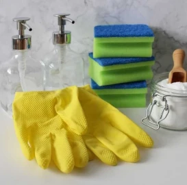 I offer cleaning/care for the sick by the hour