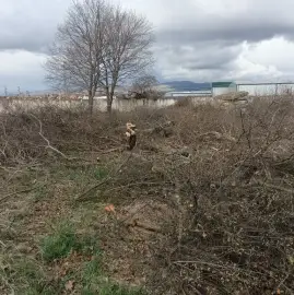 Cleaning property plots and yards