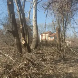 Cleaning property plots and yards