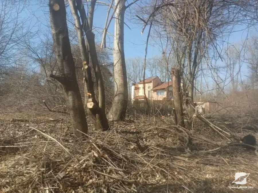 Почистване на имоти парцели и дворни места
