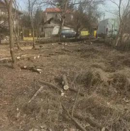 Cleaning property plots and yards