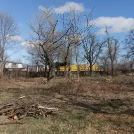 Cleaning property plots and yards