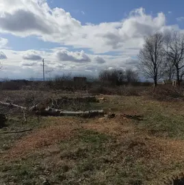 Cleaning property plots and yards
