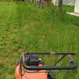 Mowing and maintenance of green areas