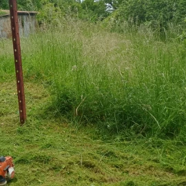 Mowing and maintenance of green areas