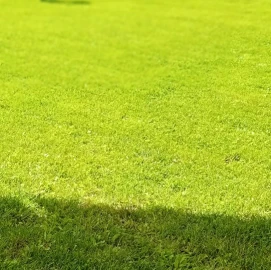 Mowing and maintenance of green areas