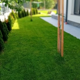 Mowing and maintenance of green areas