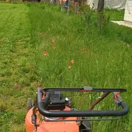 Mowing and maintenance of green areas