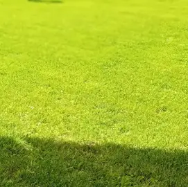 Mowing and maintenance of green areas