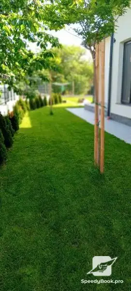 Косене и поддръжка на зелени площи 
