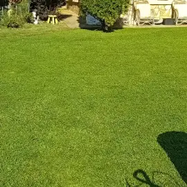 Mowing and maintenance of green areas