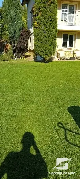 Косене и поддръжка на зелени площи 