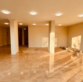 Construction and repair services