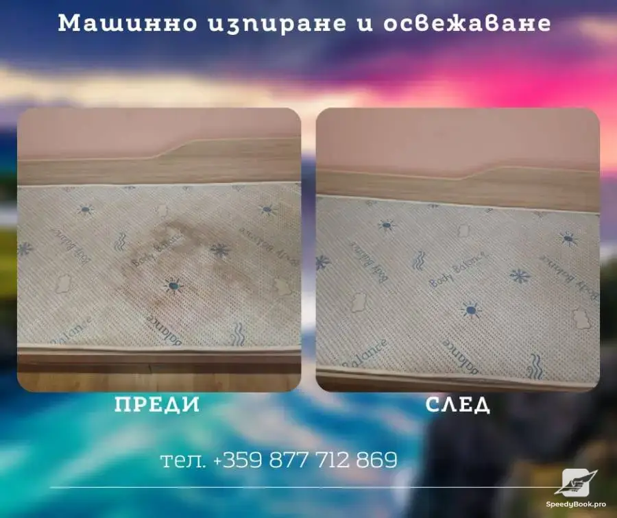 Професионално почистване