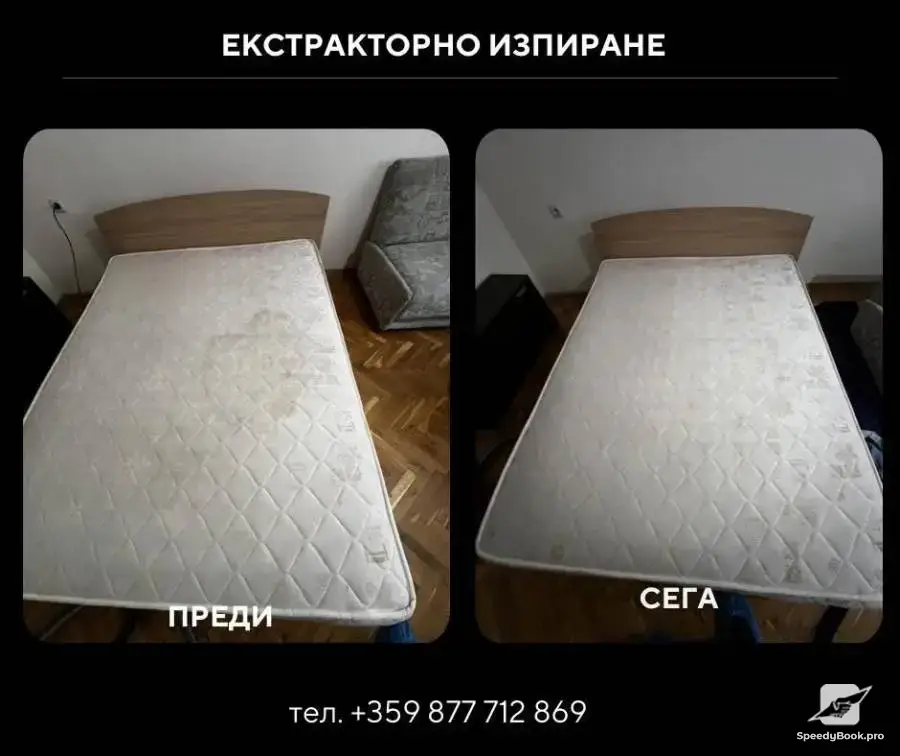 Професионално почистване